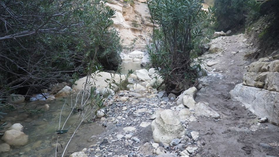 2019-02-05 41 Walk 8 Avakas Gorge.JPG