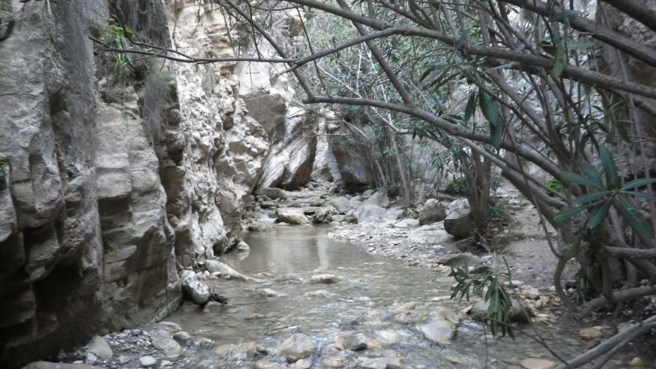 2019-02-05 43 Walk 8 Avakas Gorge.JPG