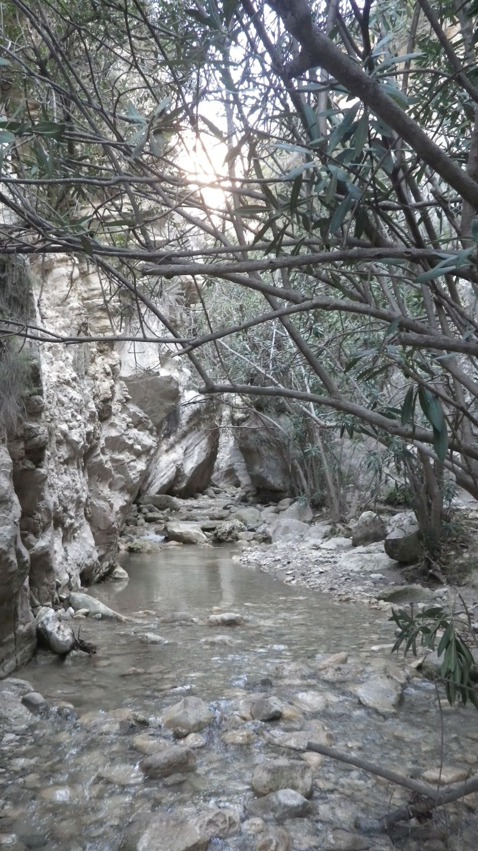 2019-02-05 44 Walk 8 Avakas Gorge.JPG