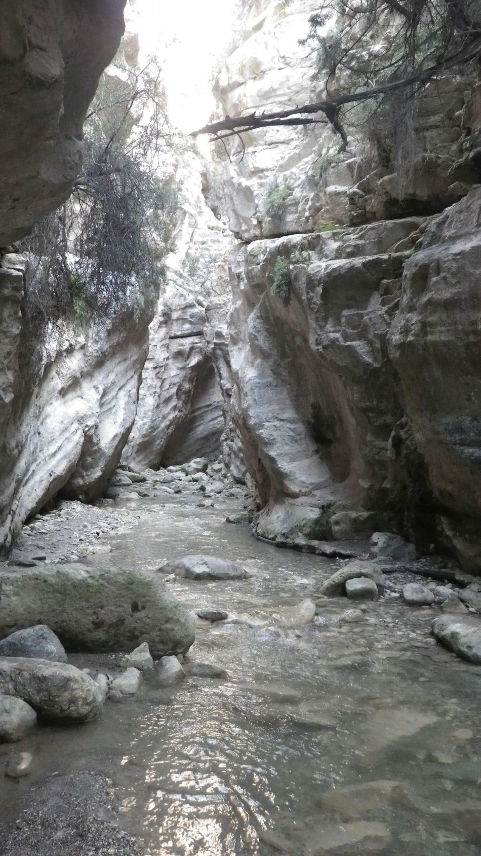 2019-02-05 45 Walk 8 Avakas Gorge.JPG