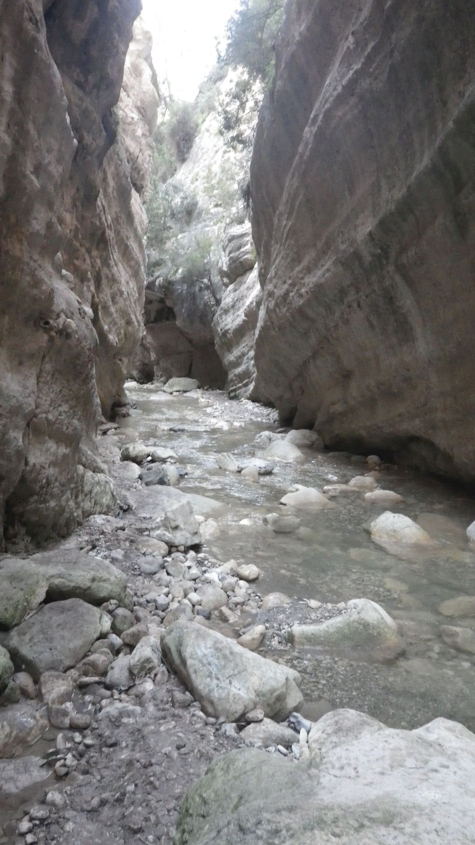 2019-02-05 46 Walk 8 Avakas Gorge.JPG