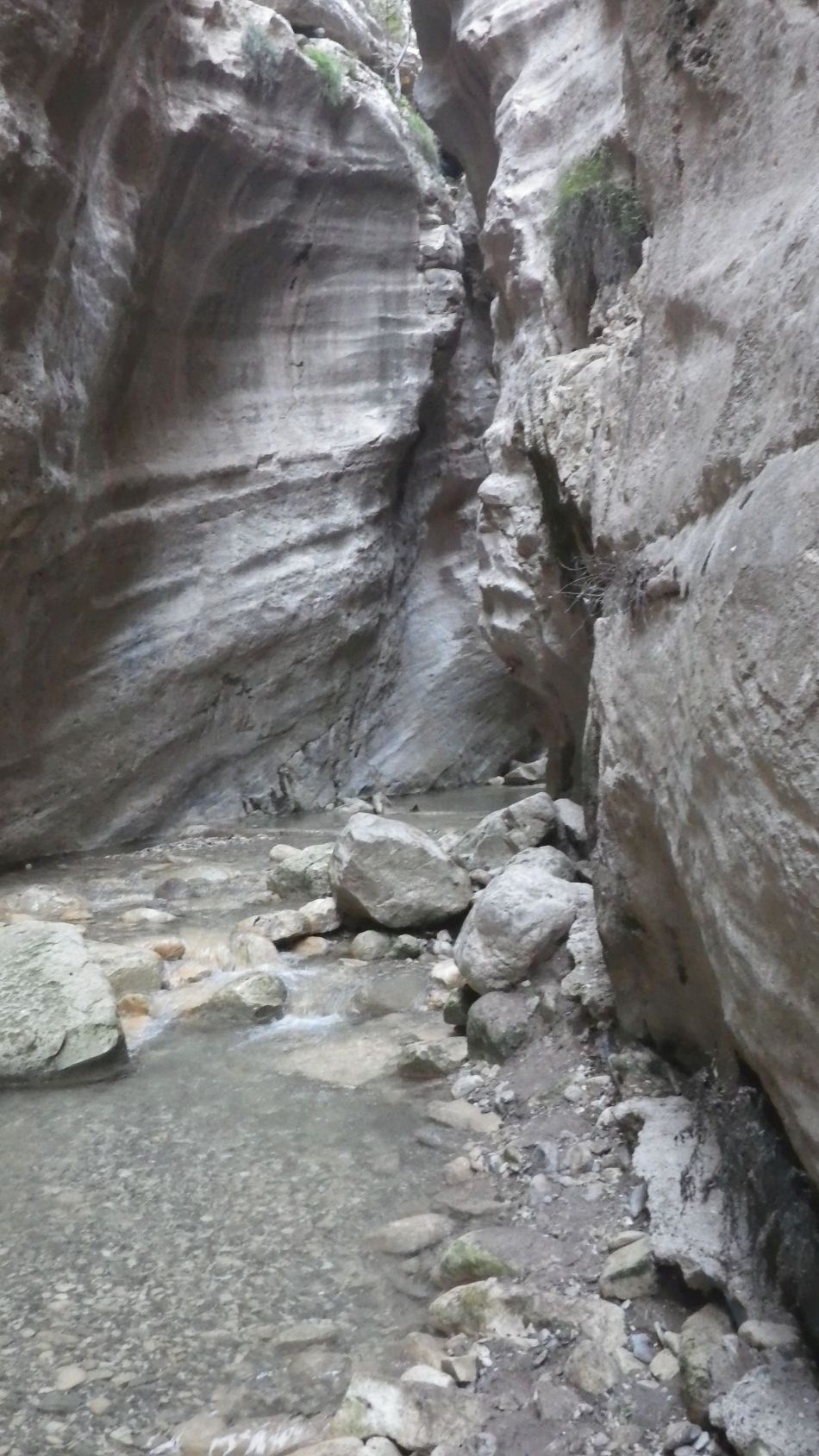 2019-02-05 47 Walk 8 Avakas Gorge.JPG