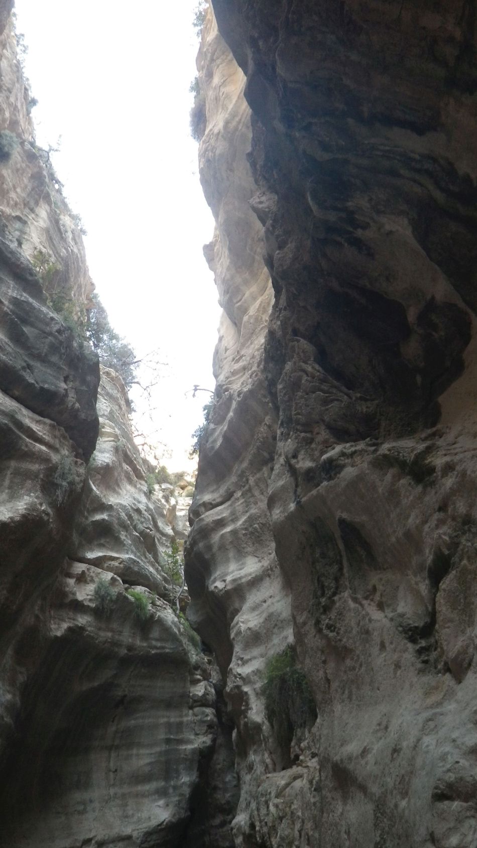 2019-02-05 48 Walk 8 Avakas Gorge.JPG