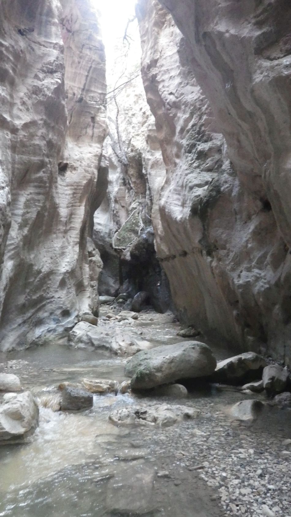 2019-02-05 49 Walk 8 Avakas Gorge.JPG