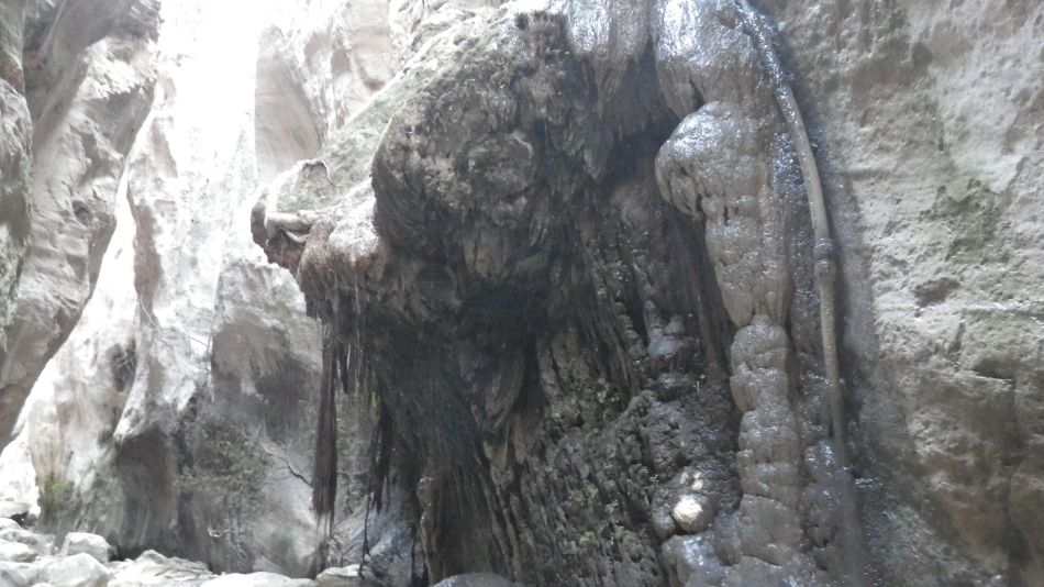 2019-02-05 50 Walk 8 Avakas Gorge.JPG