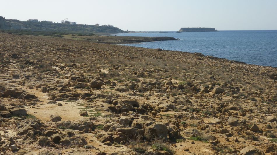 2019-02-05 52 Walk 8 Desolate Limestone Beach.JPG