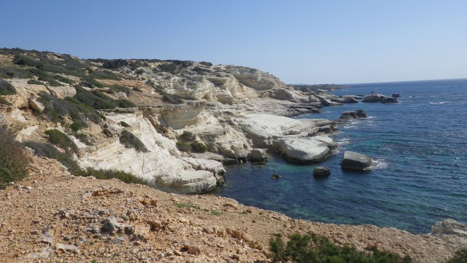 2019-02-05 55 Walk 8 Chalk Cliffs.JPG