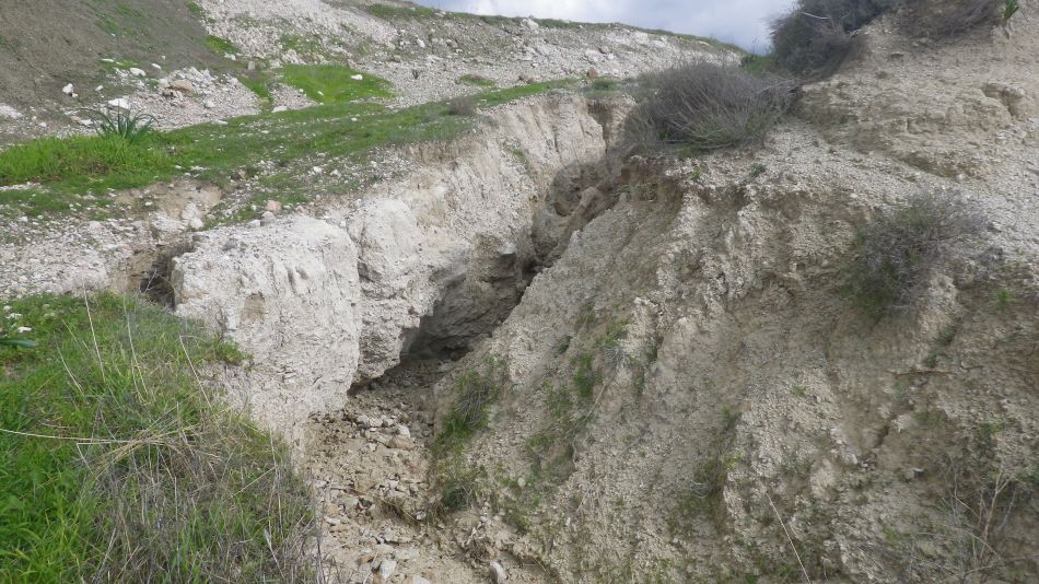 2019-02-08 08 Walk 12 Erosion.JPG