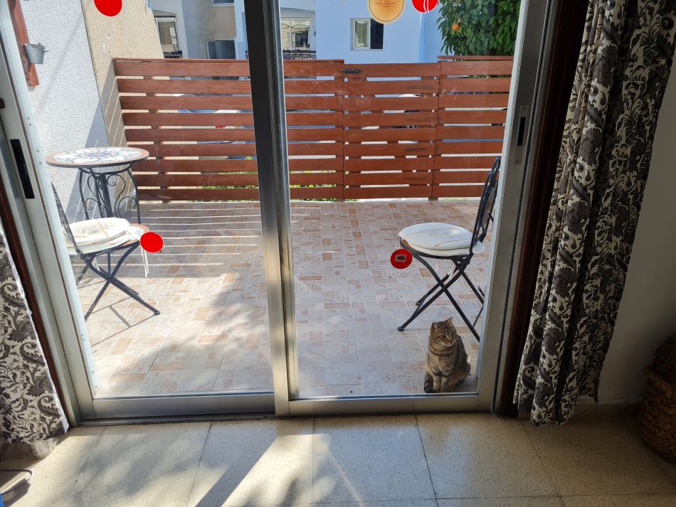 2023-01-08 17 Local Area Paphos.jpg