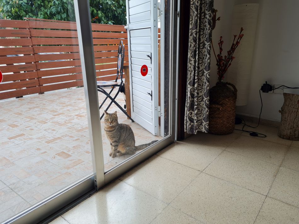 2023-01-08 31 Local Area Paphos.jpg