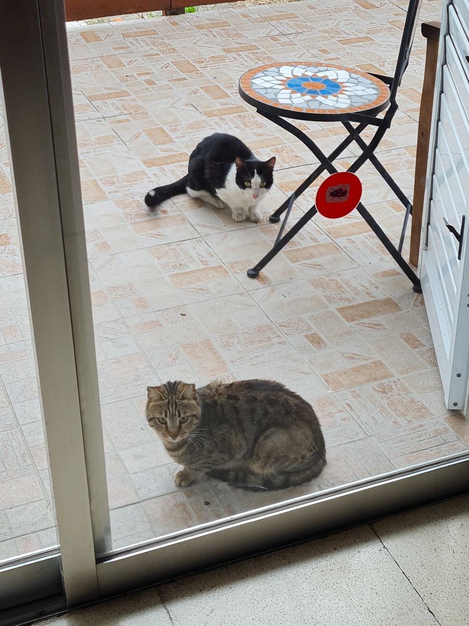 2023-01-08 32 Local Area Paphos.jpg