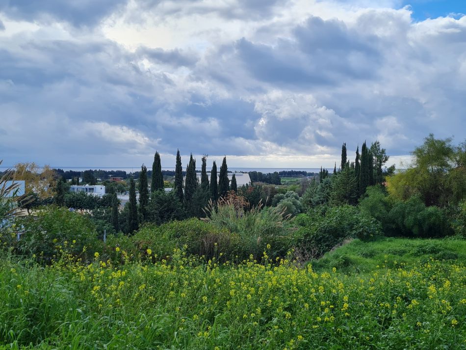 2023-01-08 43 Local Area Paphos.jpg