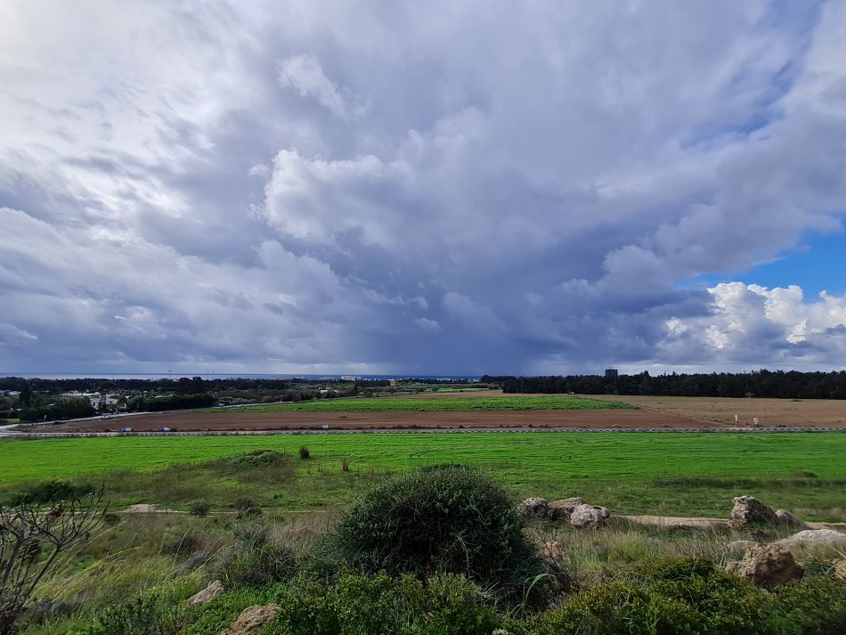 2023-01-08 44 Local Area Paphos.jpg