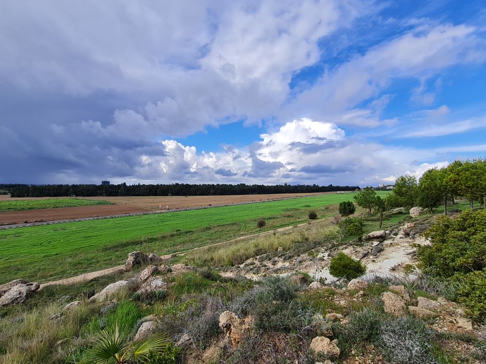 2023-01-08 45 Local Area Paphos.jpg