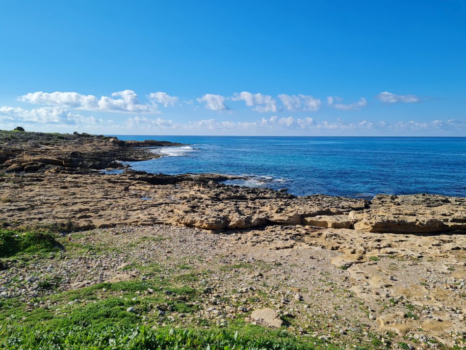 2023-01-08 48 Local Area Paphos.jpg