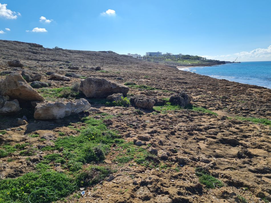 2023-01-08 50 Local Area Paphos.jpg