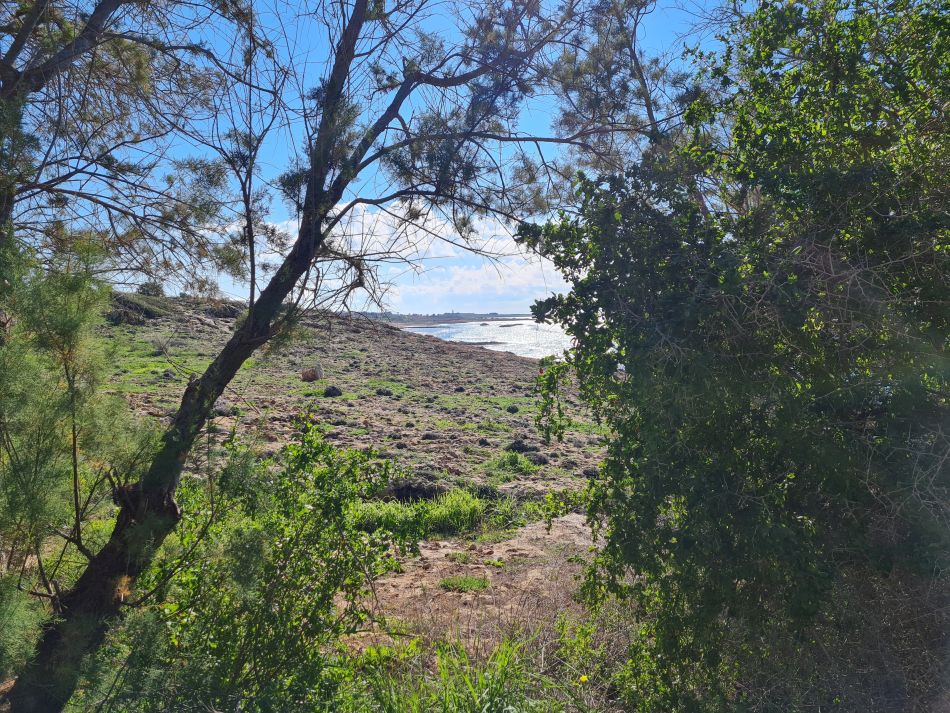 2023-01-08 52 Local Area Paphos.jpg