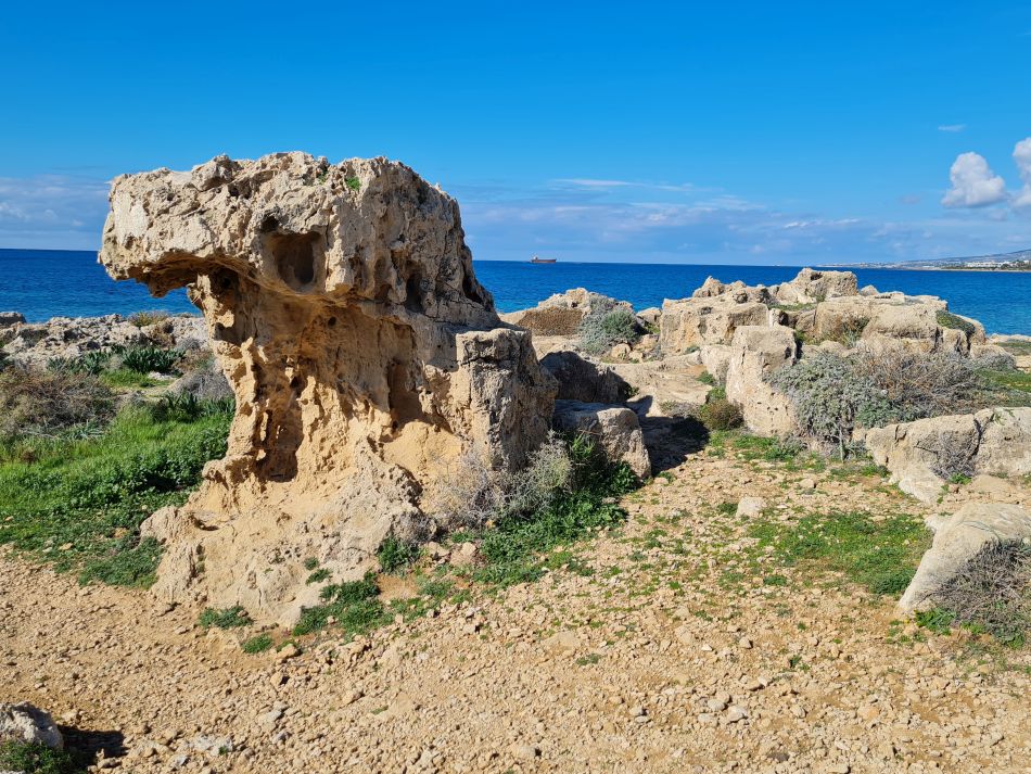 2023-01-08 54 Local Area Paphos.jpg