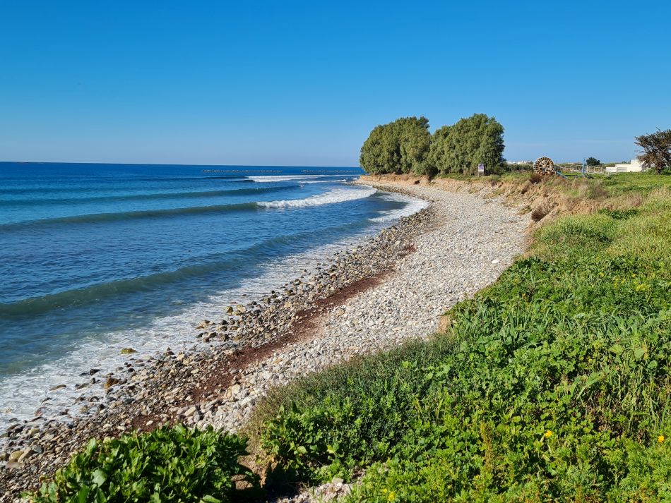 2023-01-08 57 Local Area Paphos.jpg