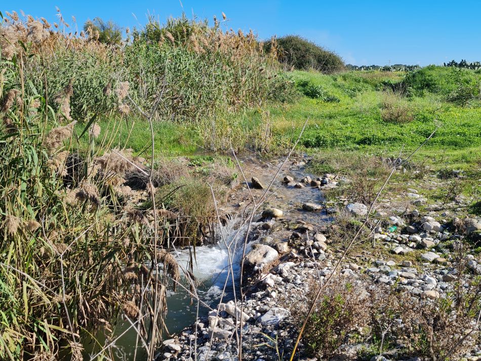 2023-01-08 58 Local Area Paphos.jpg