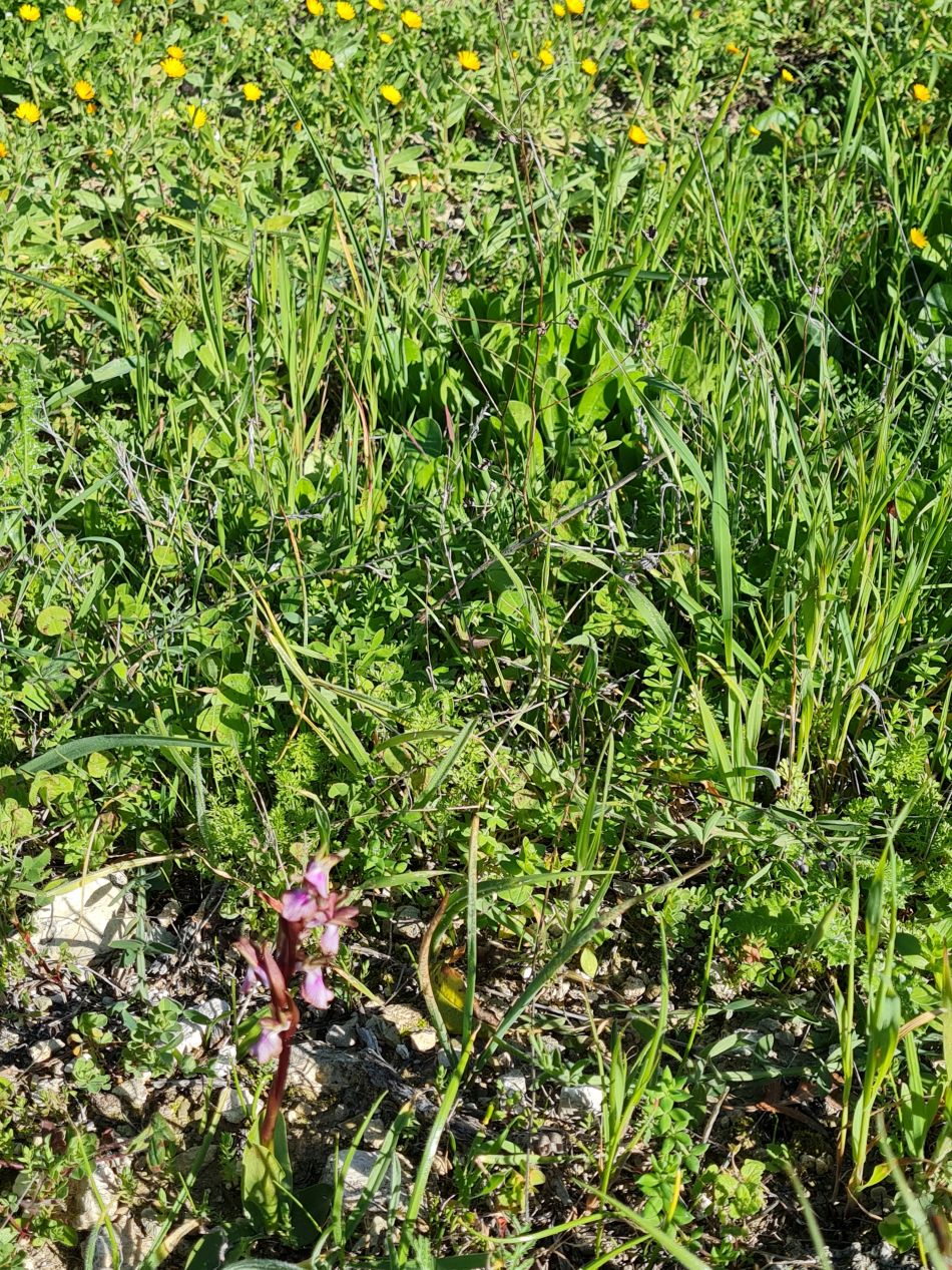 2023-01-23 11 Episkopi to Paphos.jpg