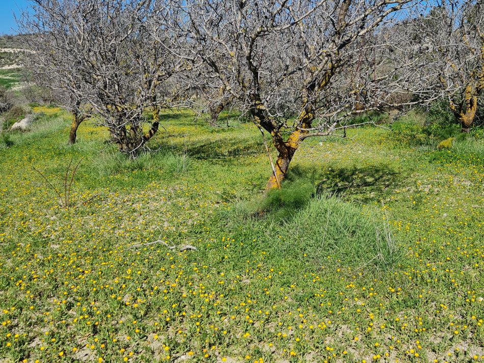 2023-01-23 13 Episkopi to Paphos.jpg