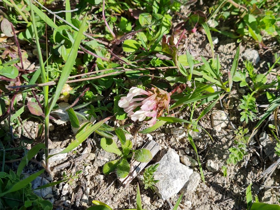 2023-01-23 14 Episkopi to Paphos.jpg