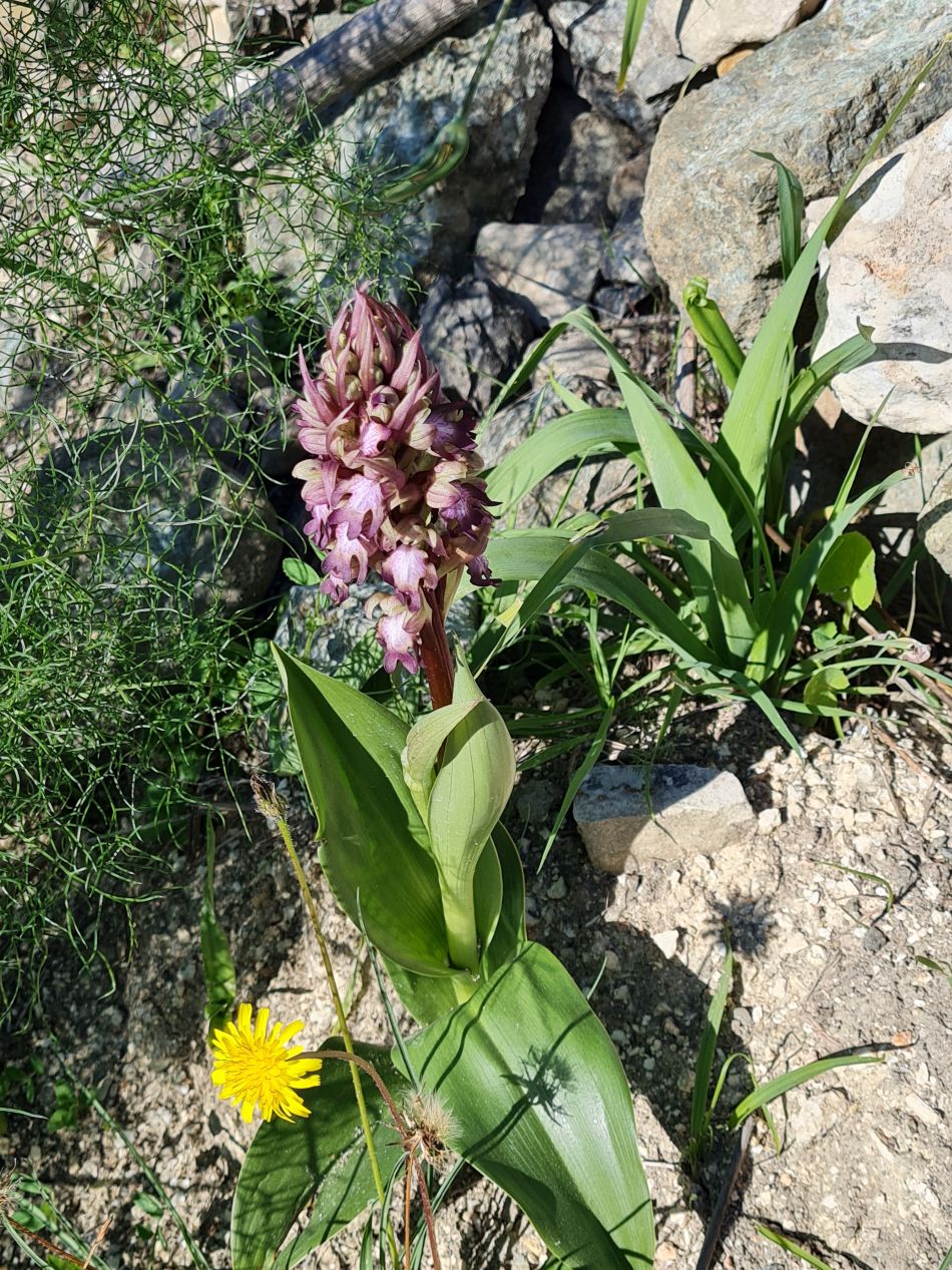 2023-01-23 15 Episkopi to Paphos.jpg