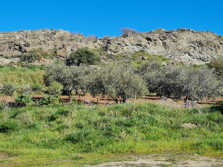 2023-01-23 17 Episkopi to Paphos.jpg