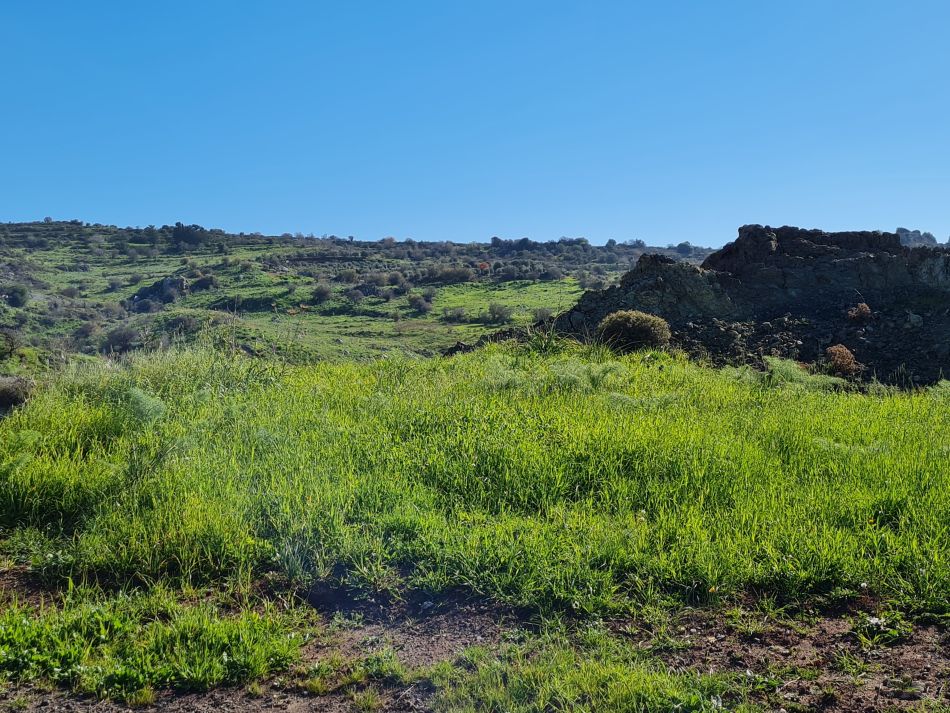 2023-01-23 18 Episkopi to Paphos.jpg
