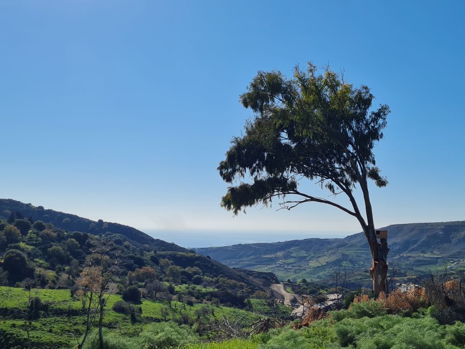 2023-01-23 19 Episkopi to Paphos.jpg