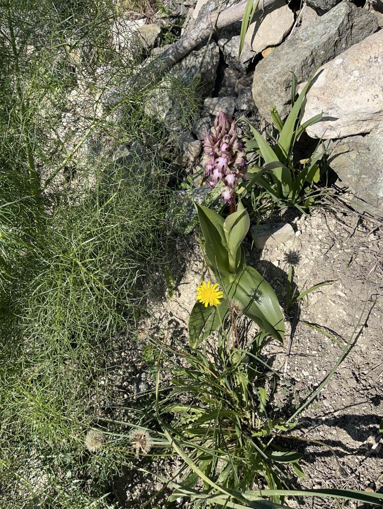 2023-01-23 27 Episkopi to Paphos.jpg