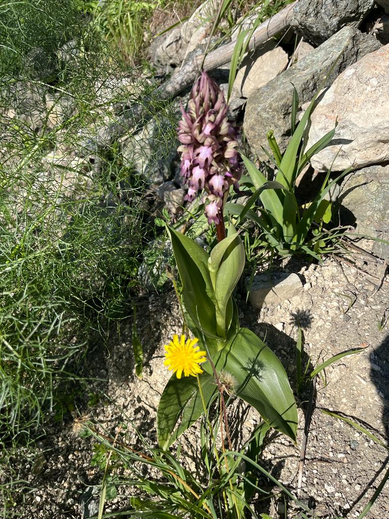 2023-01-23 29 Episkopi to Paphos.jpg