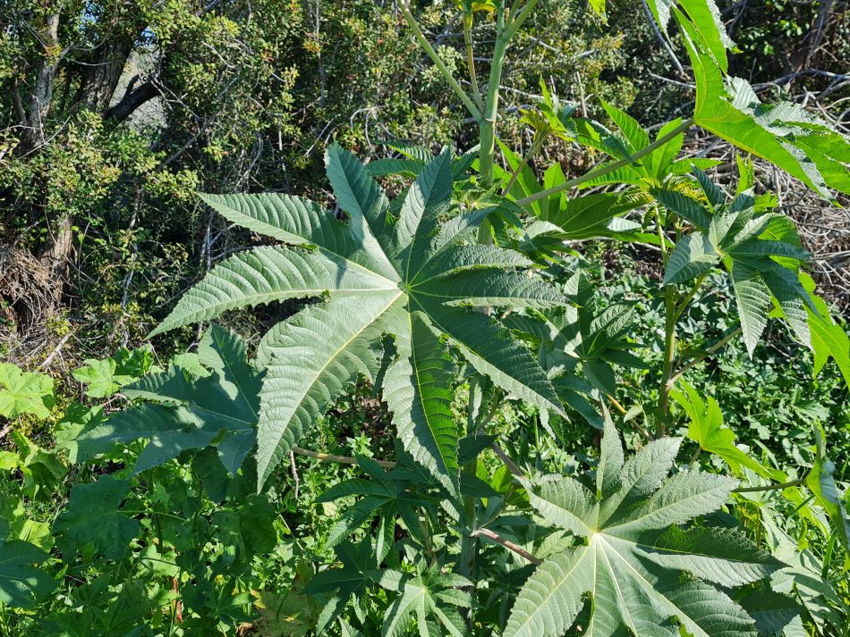 2023-01-25 19 Mavrokolympos Dam.jpg