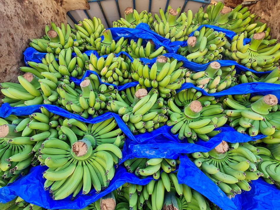 2023-01-25 24 Mavrokolympos Dam.jpg