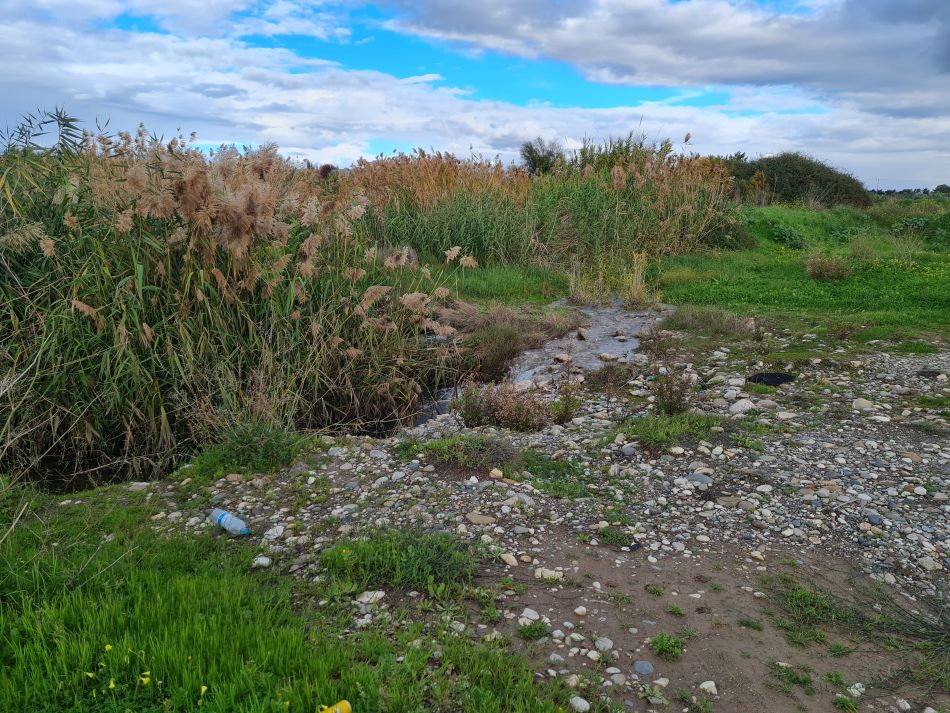 2023-01-29 01 Paphos Airport Walk.jpg