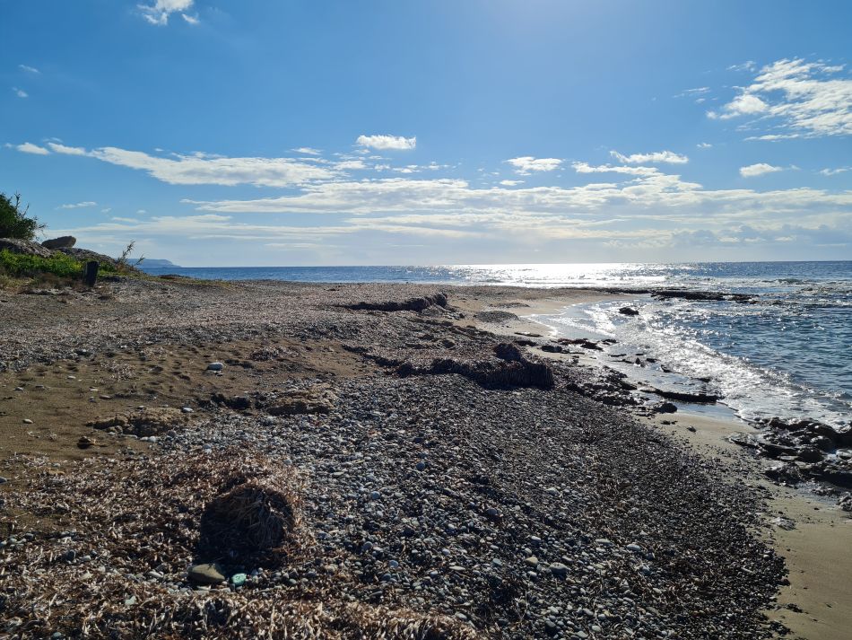 2023-01-29 09 Paphos Airport Walk.jpg