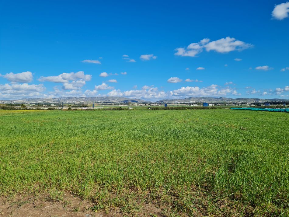 2023-01-29 10 Paphos Airport Walk.jpg