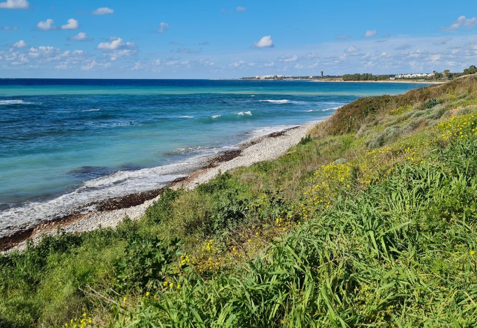 2023-01-29 24 Paphos Airport Walk.jpg