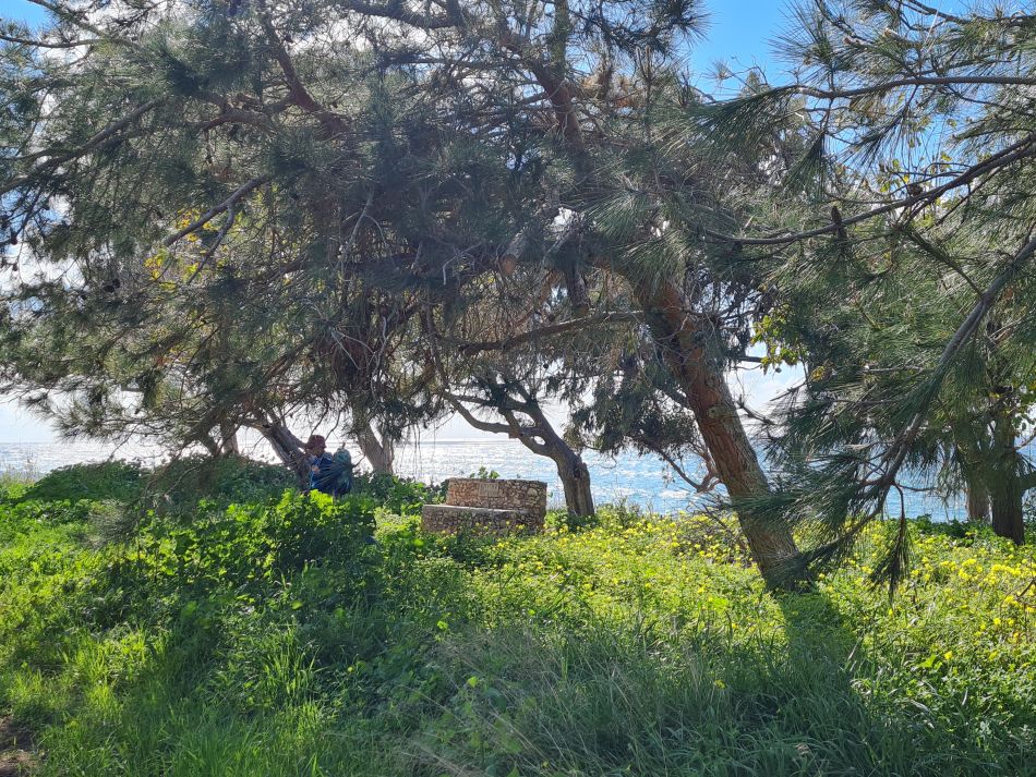 2023-01-29 25 Paphos Airport Walk.jpg