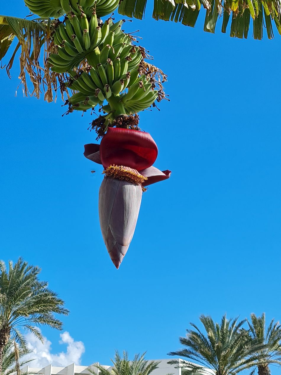 2023-01-29 26 Paphos Airport Walk.jpg