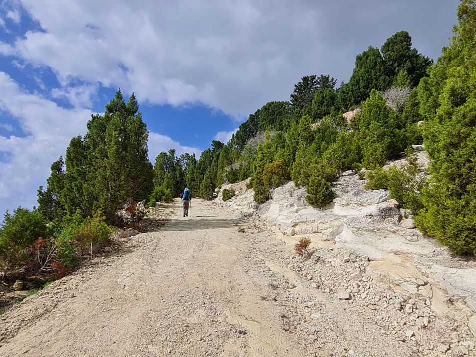 2023-01-31 14 Geroskipou Seven Saint Georges.jpg