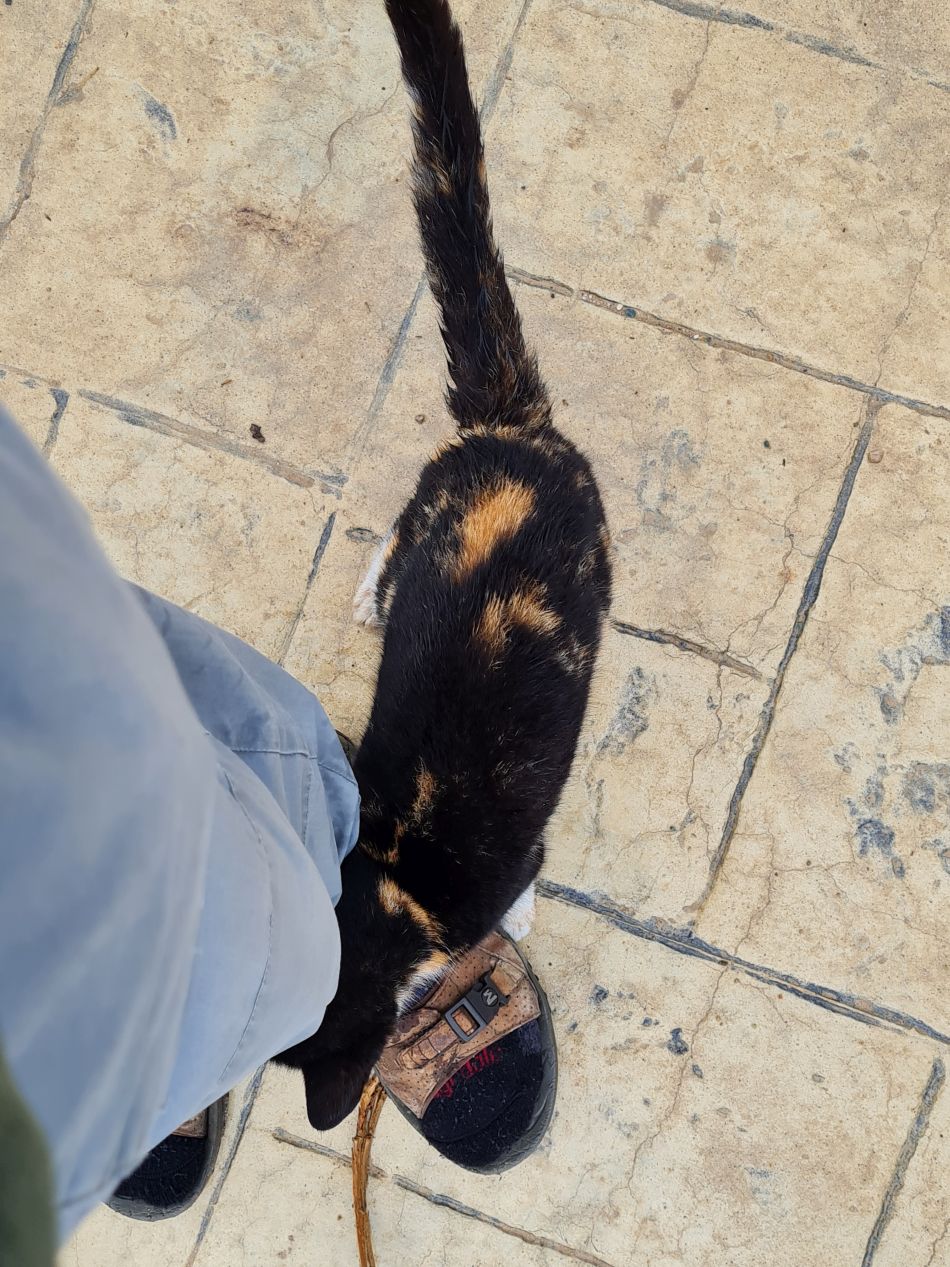 2023-02-01 04 Coast North of Paphos.jpg