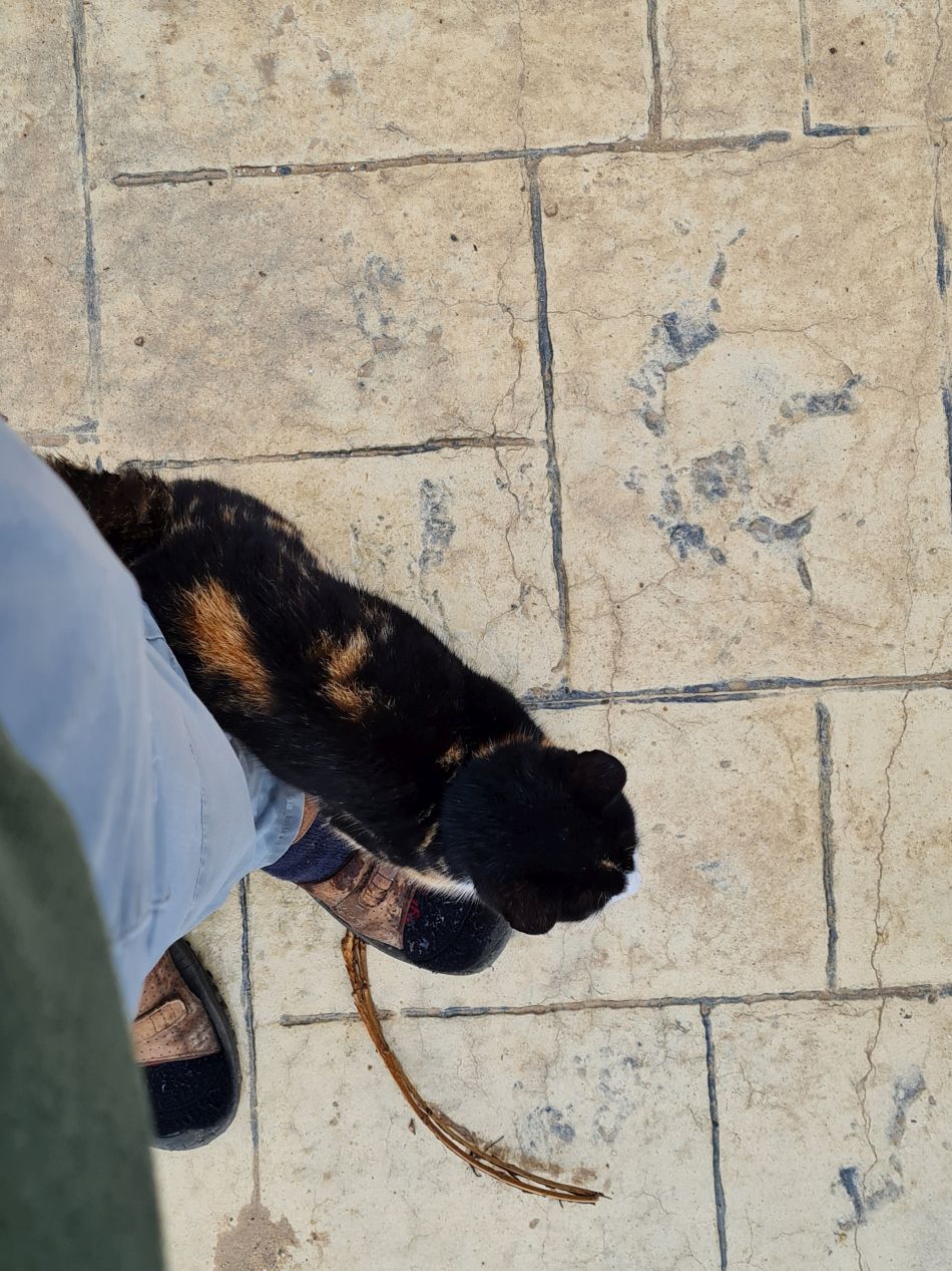 2023-02-01 05 Coast North of Paphos.jpg