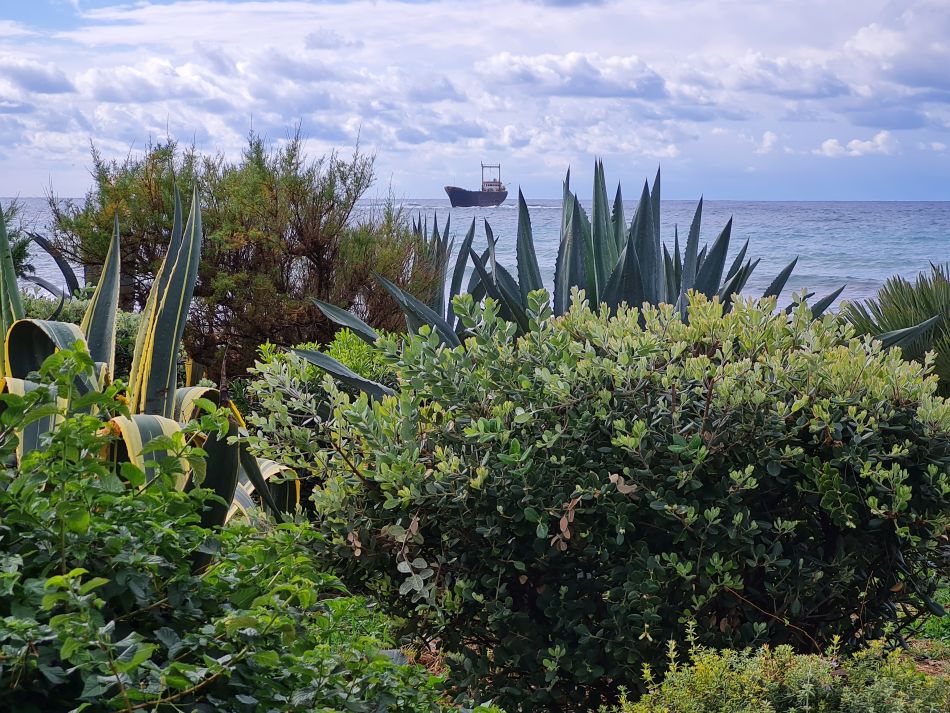 2023-02-01 09 Coast North of Paphos.jpg