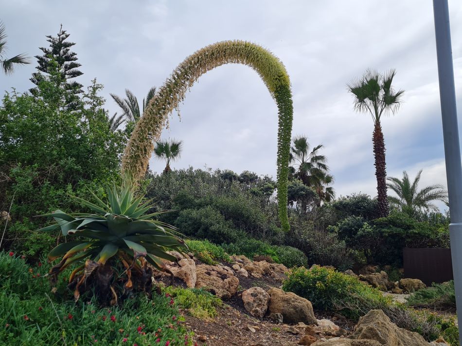 2023-02-01 10 Coast North of Paphos.jpg