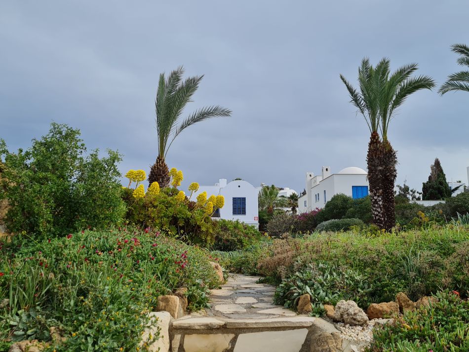 2023-02-01 11 Coast North of Paphos.jpg