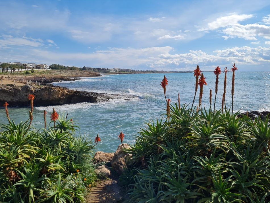 2023-02-01 13 Coast North of Paphos.jpg