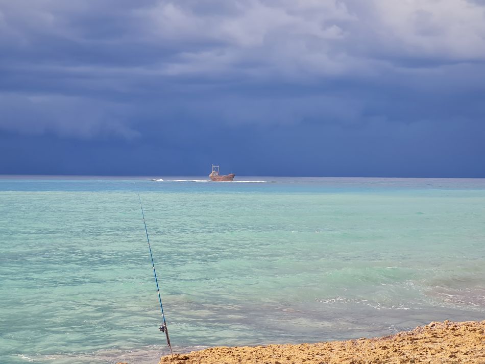 2023-02-01 14 Coast North of Paphos.jpg