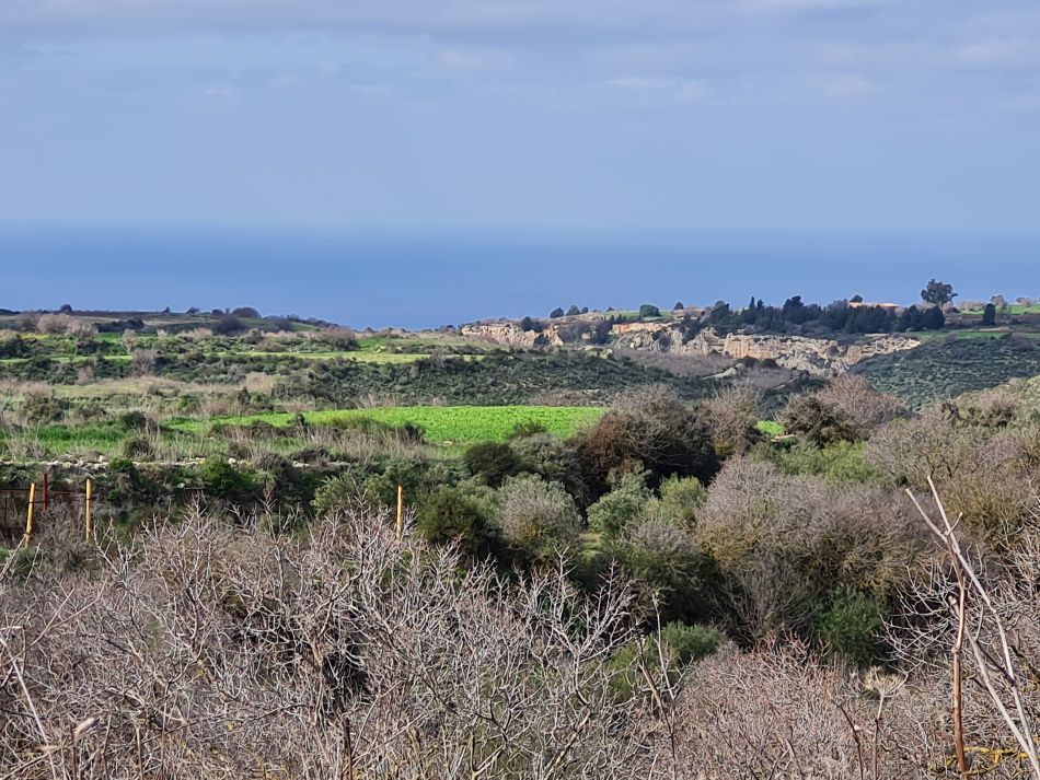 2023-02-02 03 Kathikas to Agios Georgios.jpg